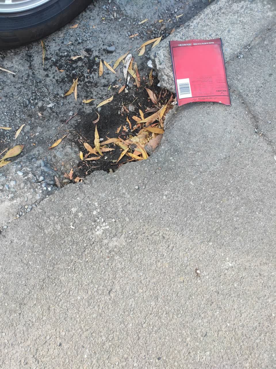 The photograph attached to this roading/streets report