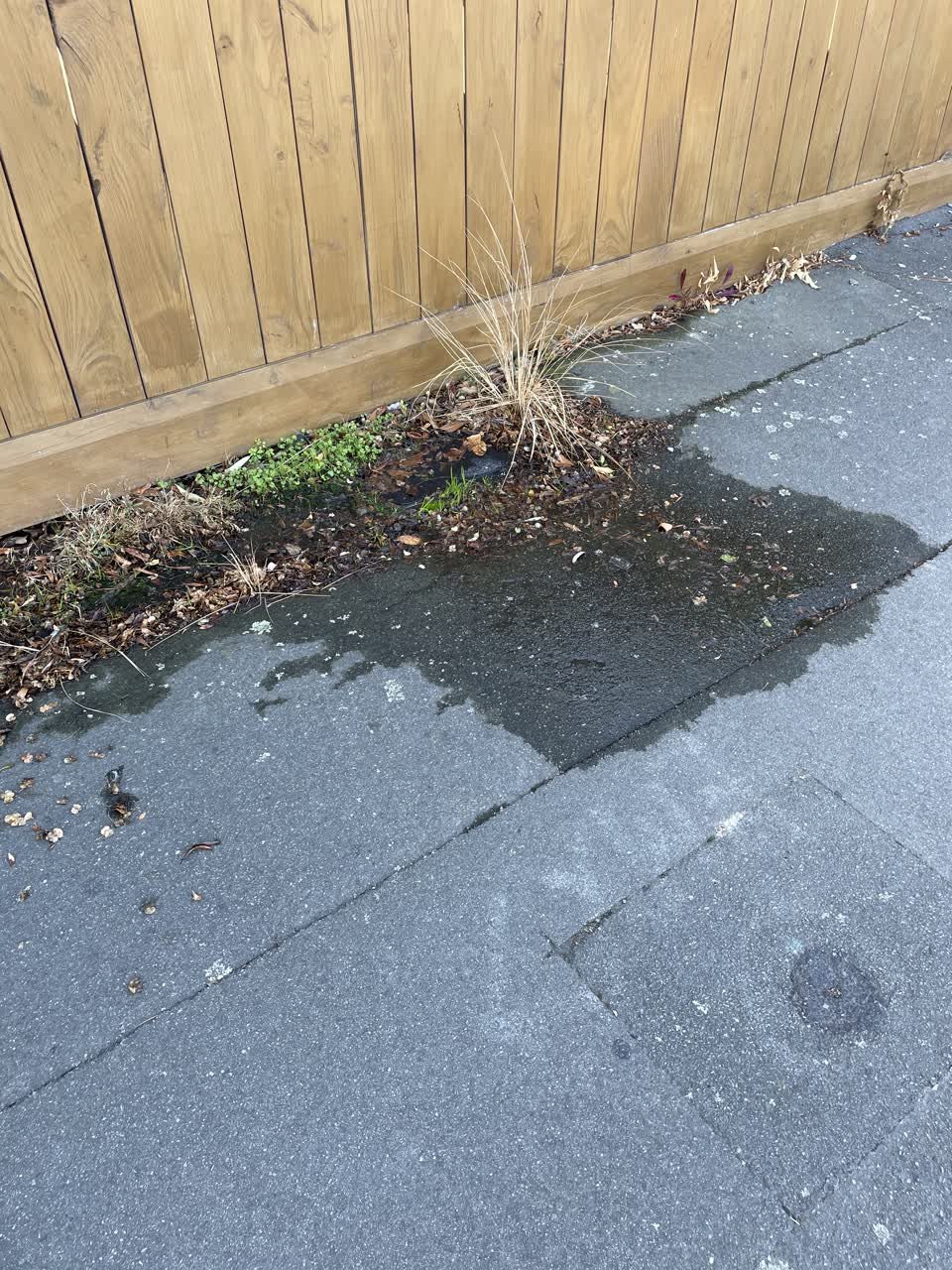The photograph attached to this water leak report