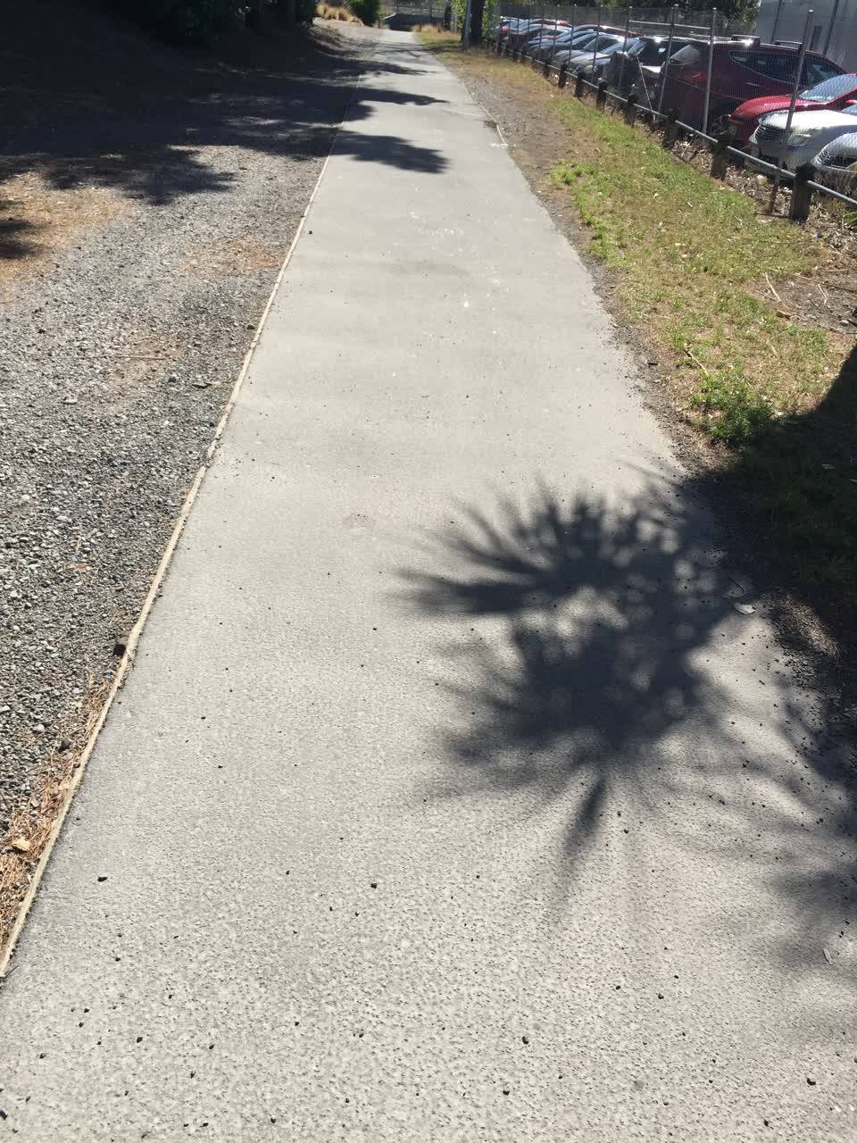 The photograph attached to this parks report