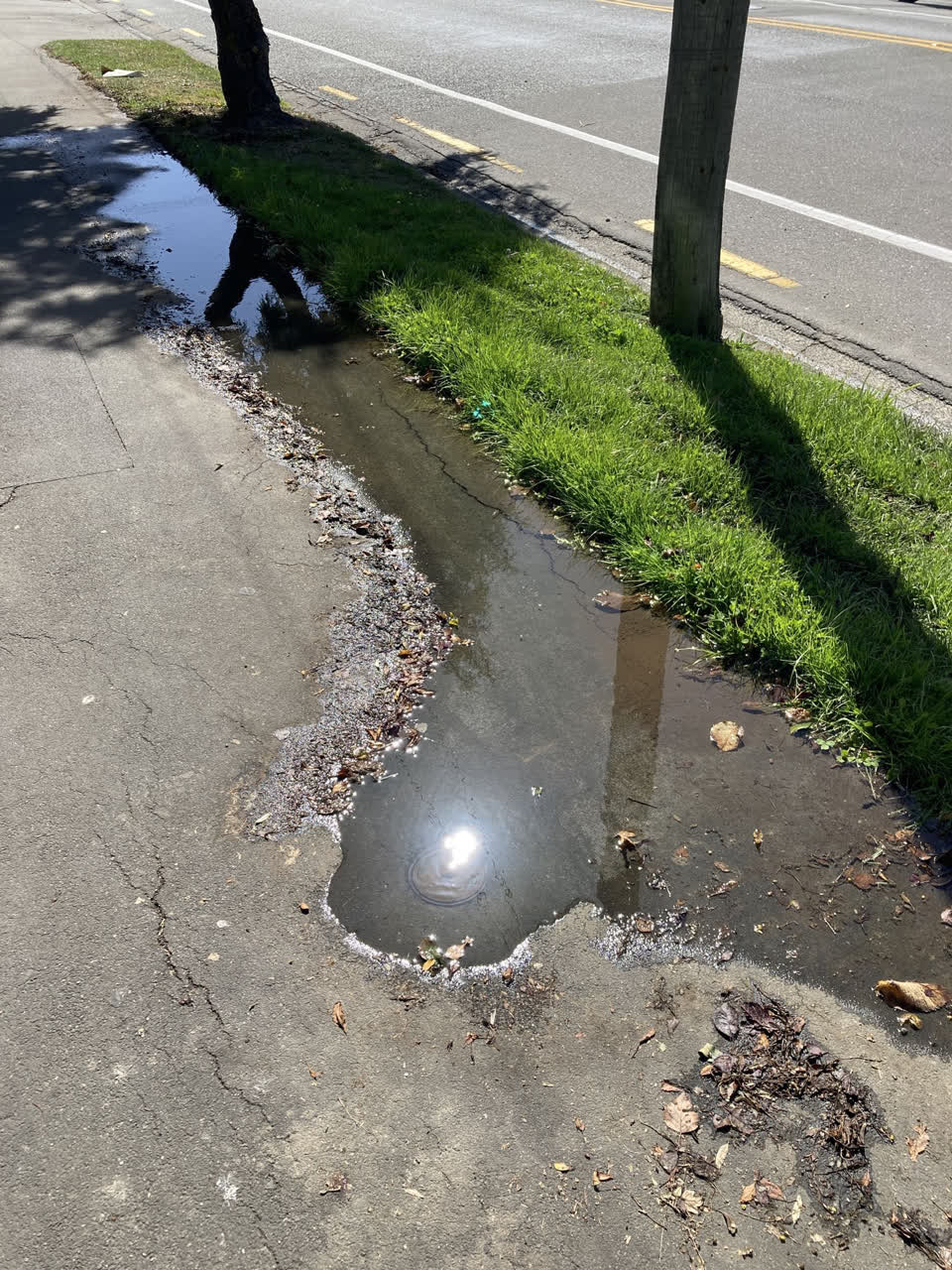 The photograph attached to this water leak report