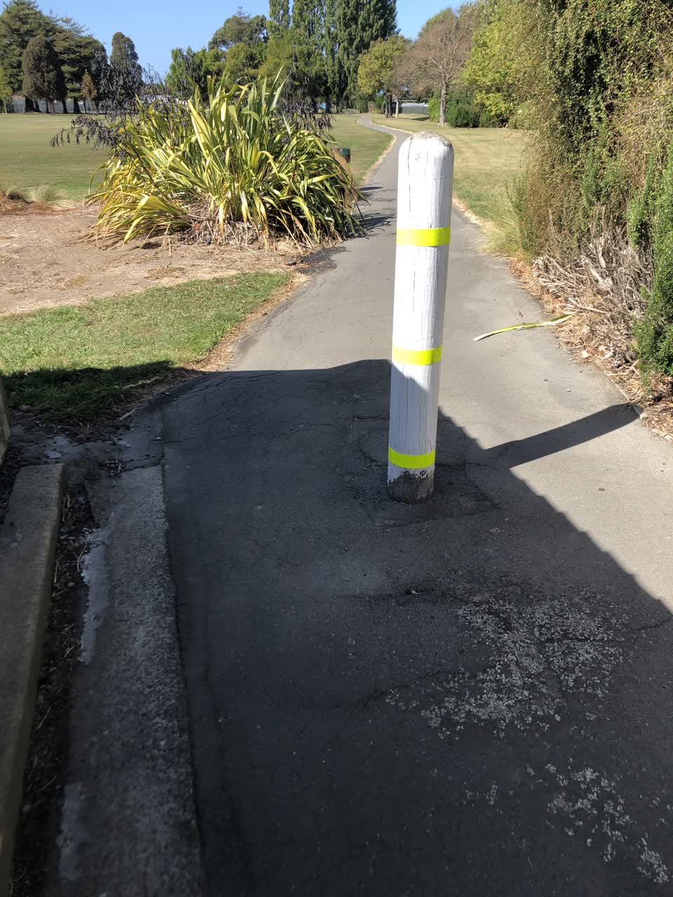 The photograph attached to this parks report