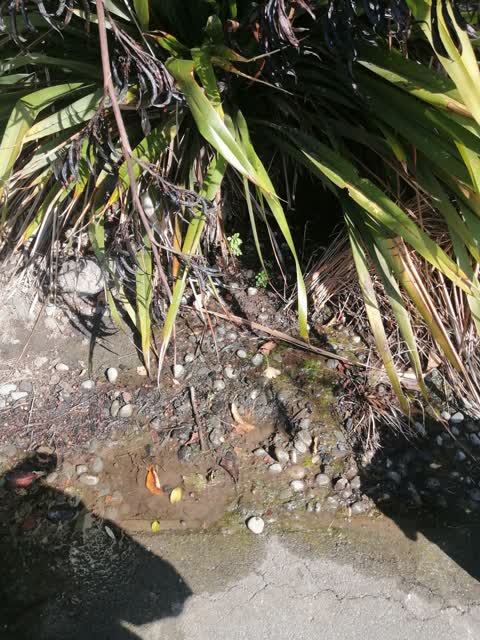 Flooding — a report photo
