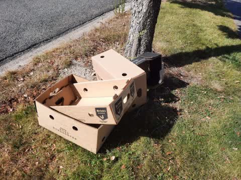 Rubbish/Recycling — a report photo