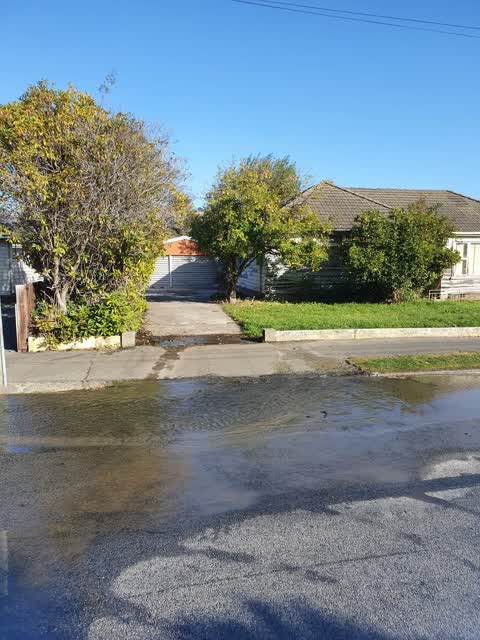 Water Leak, a report photo