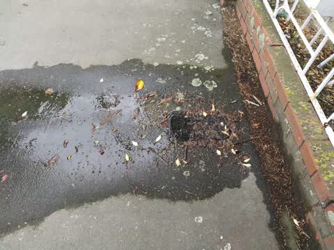 Water Leak, a report photo