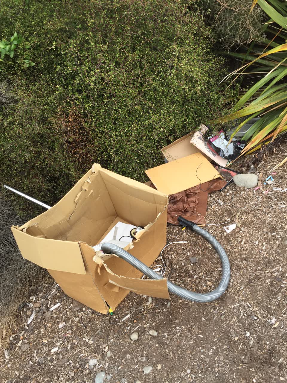The photograph attached to this rubbish/recycling report