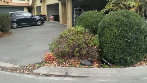 Water Leak, a report photo