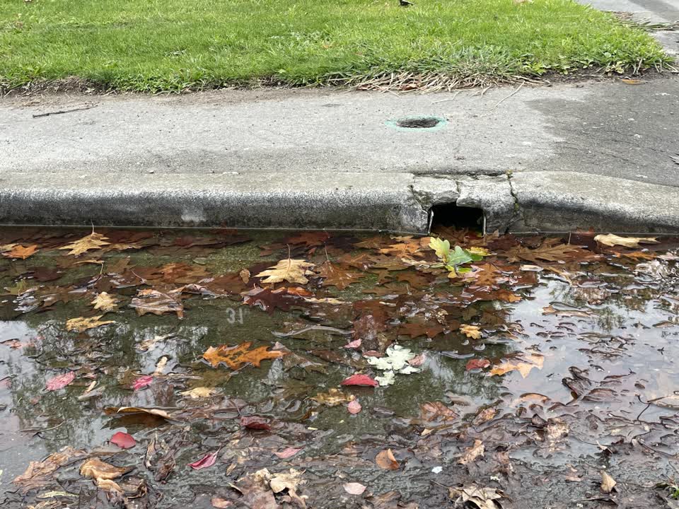 The photograph attached to this sewer - leak / blockage report