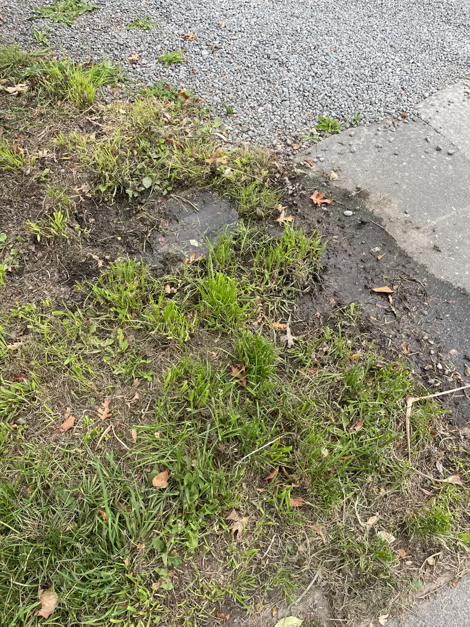 The photograph attached to this water leak report