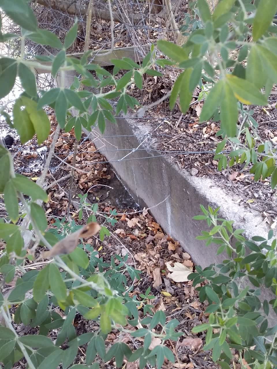 The photograph attached to this water leak report