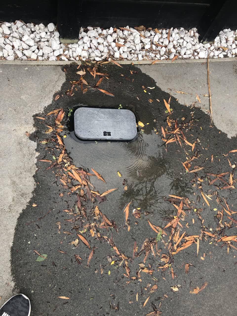 The photograph attached to this water leak report