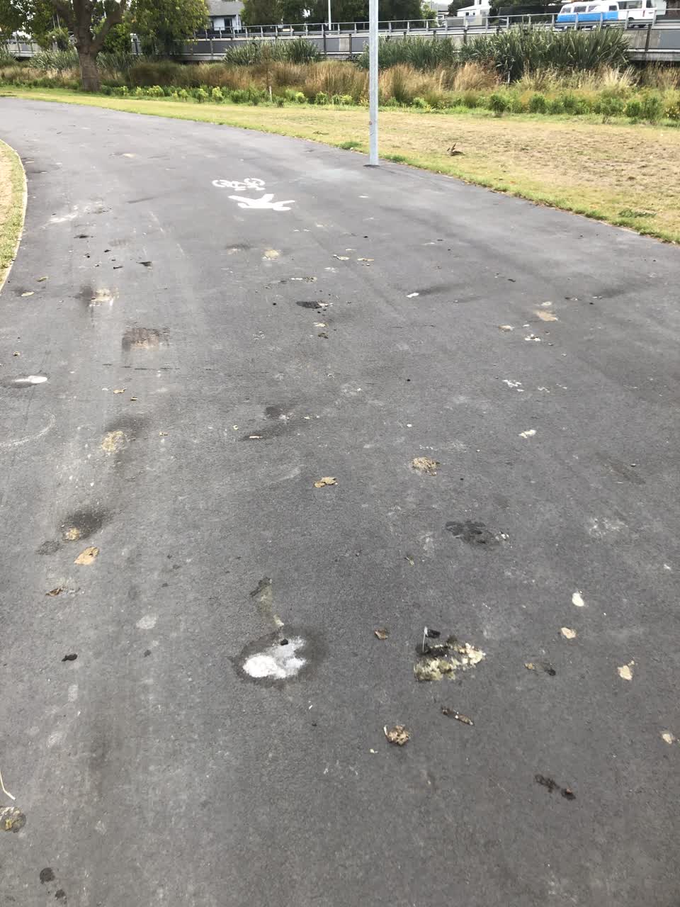The photograph attached to this parks report