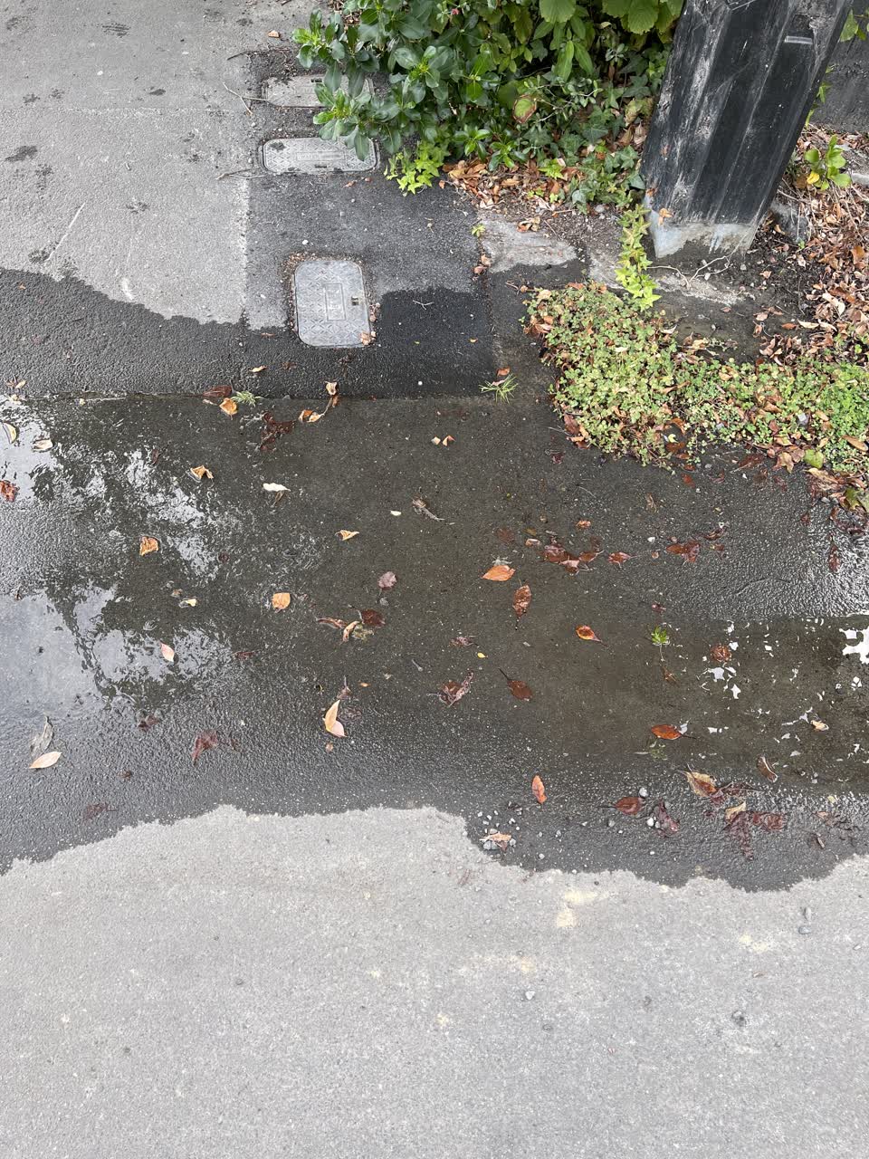 The photograph attached to this water leak report