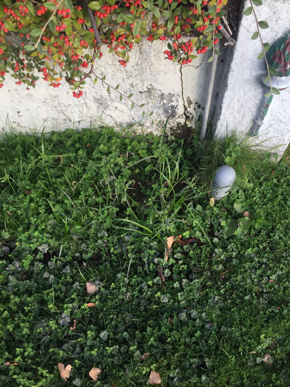The photograph attached to this water leak report