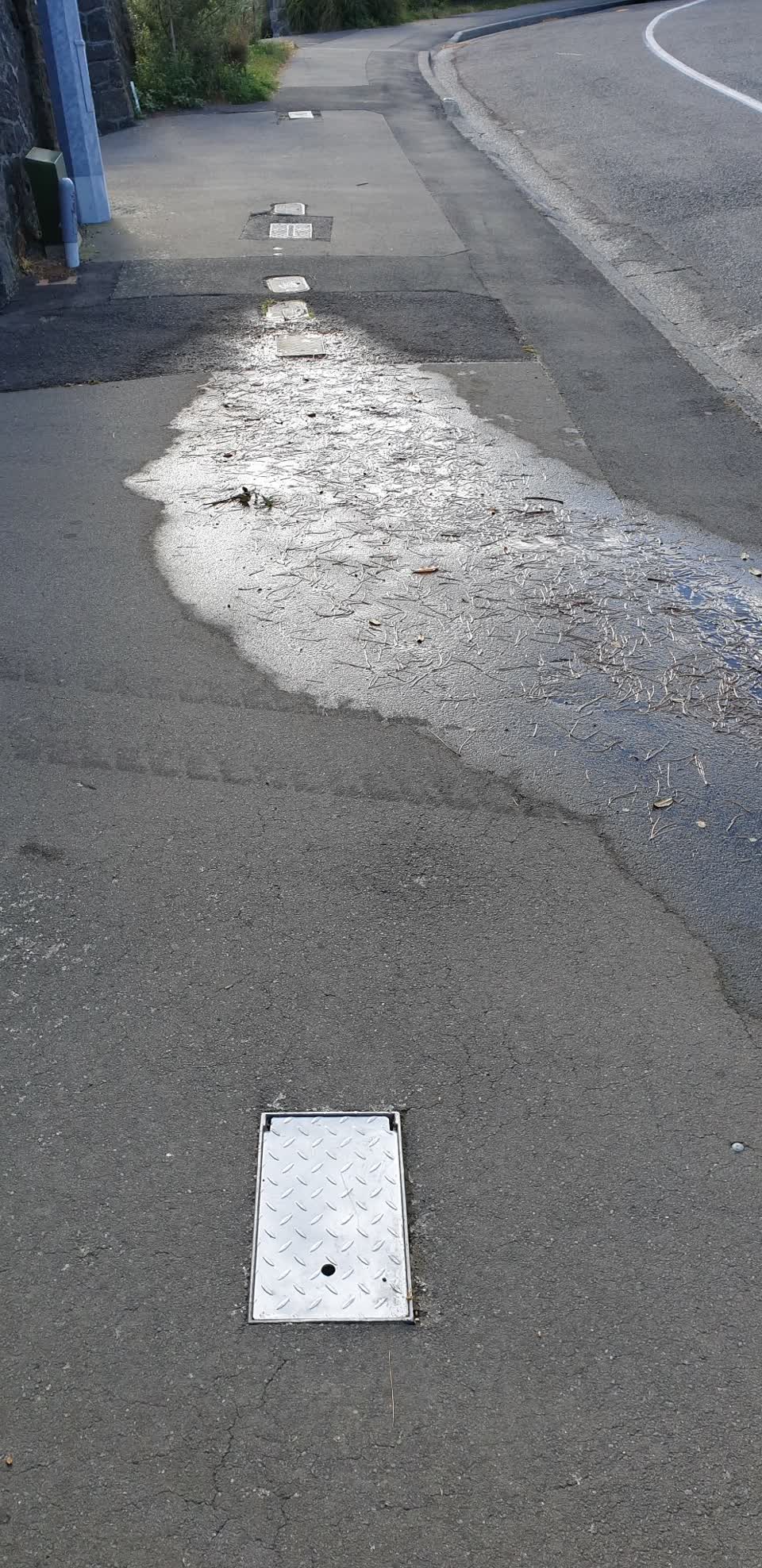 The photograph attached to this water leak report