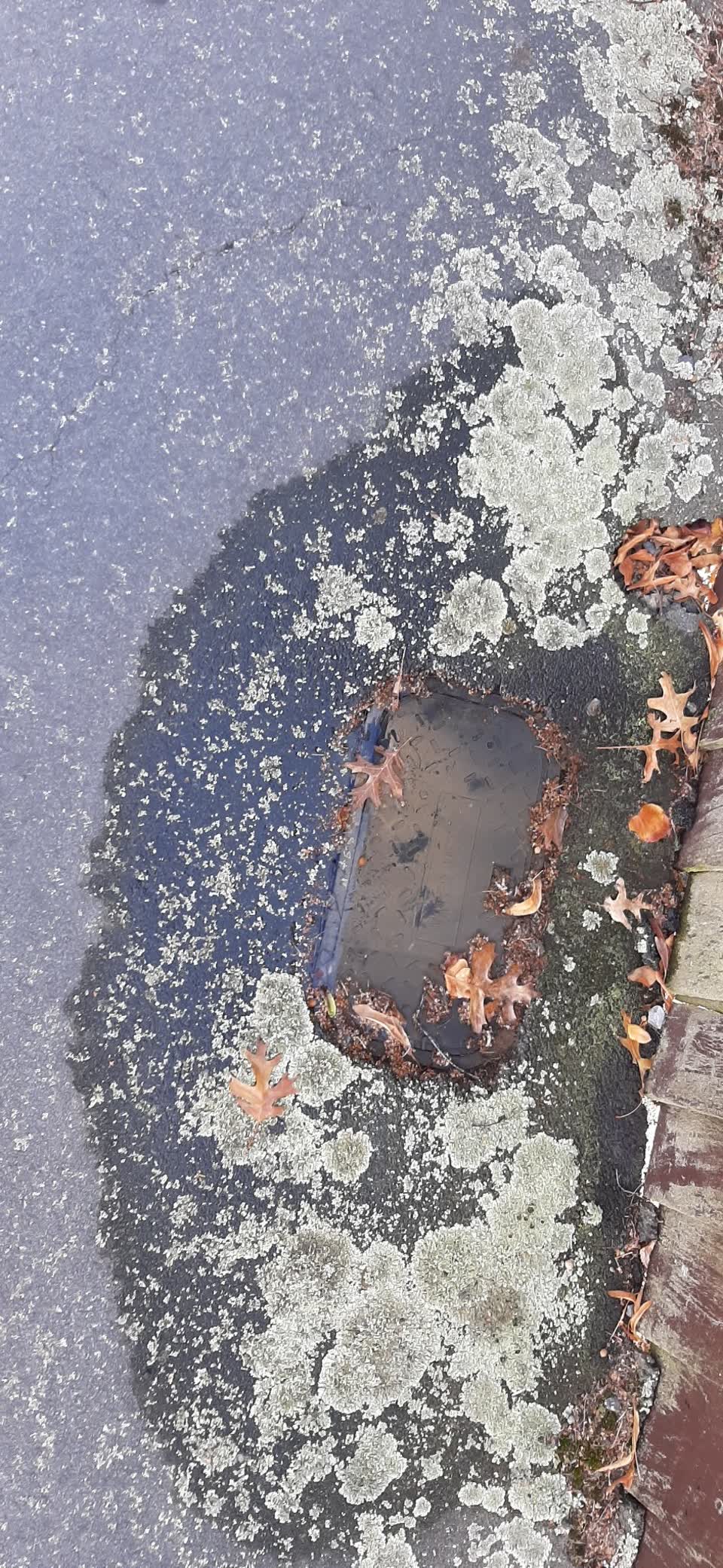 The photograph attached to this water leak report