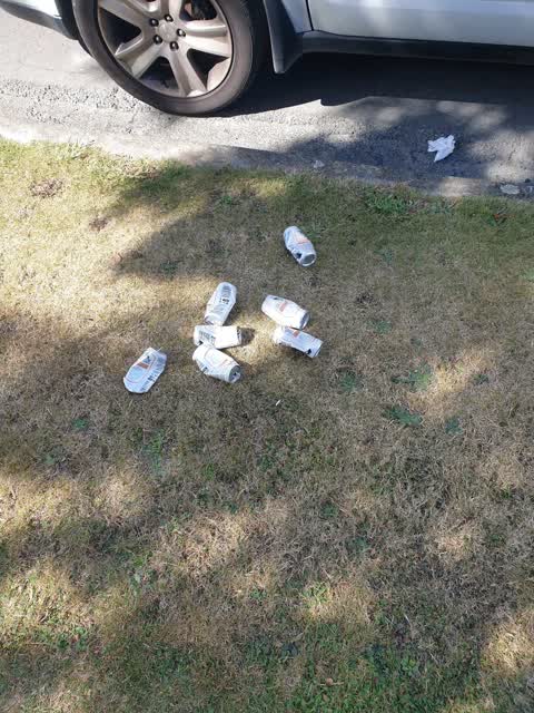 Rubbish/Recycling, a report photo