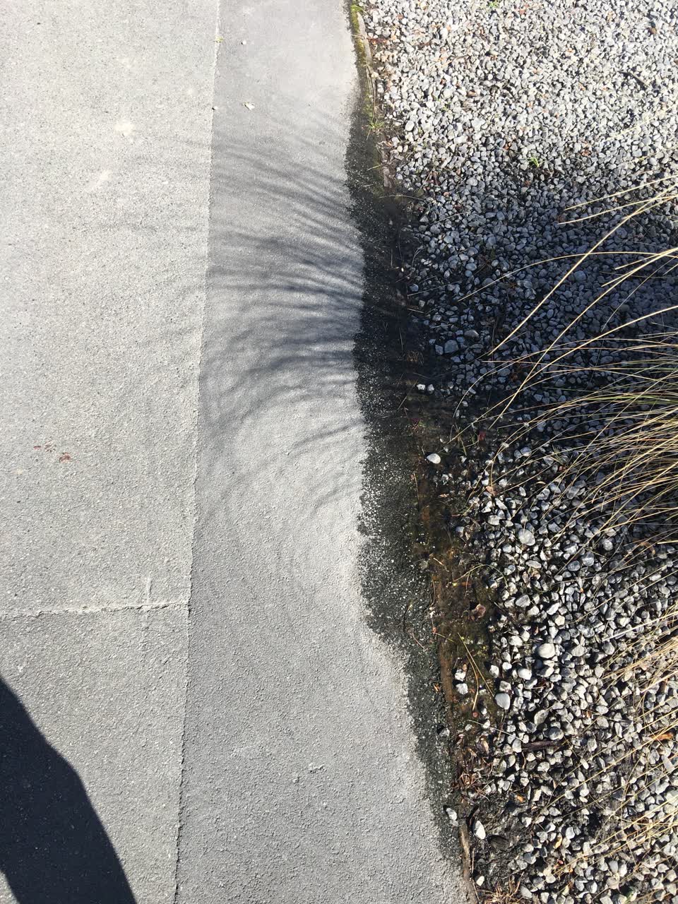 The photograph attached to this water leak report