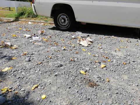 Parks, a report photo