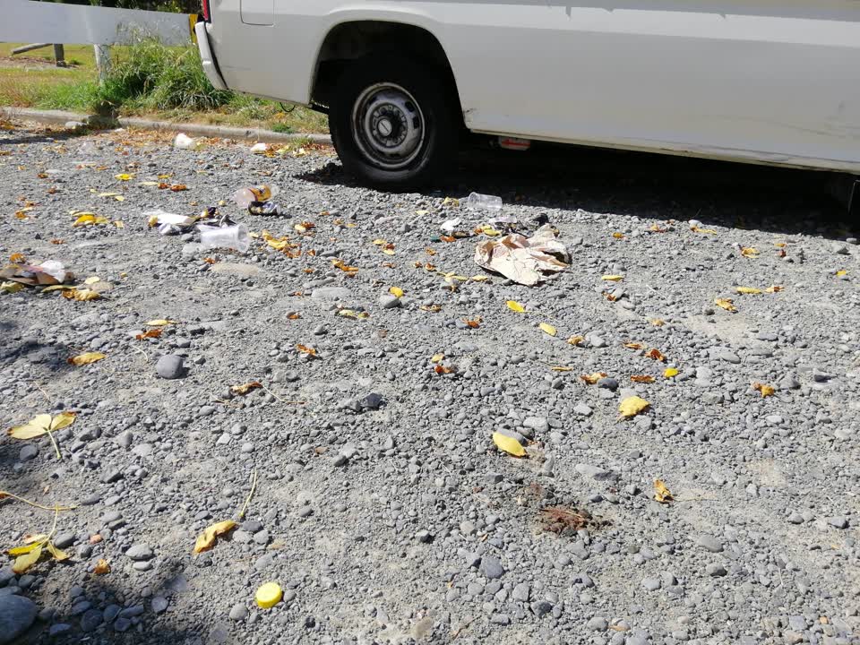 The photograph attached to this parks report