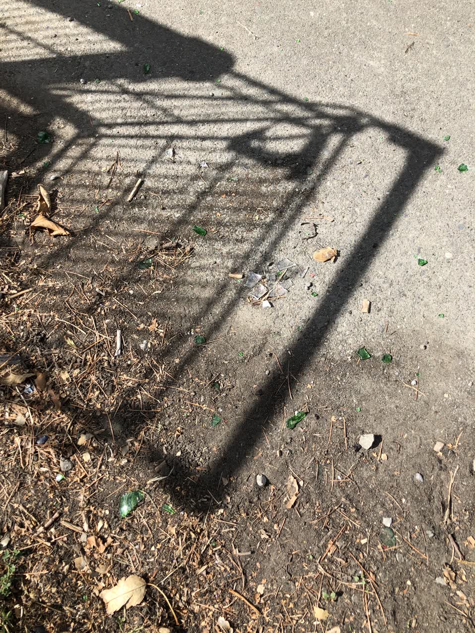 The photograph attached to this parks report