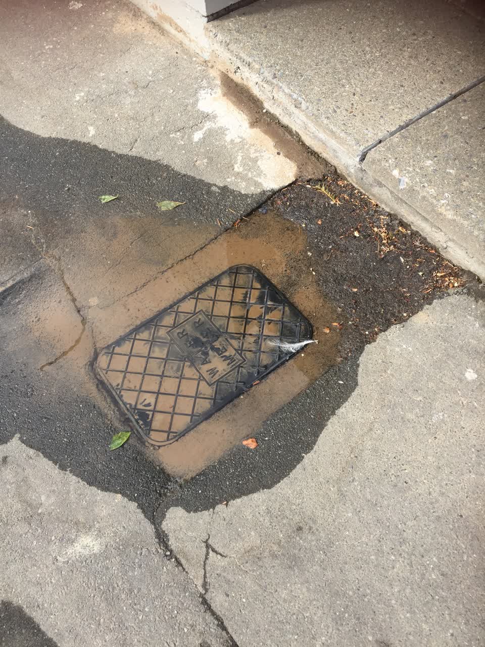 The photograph attached to this water leak report