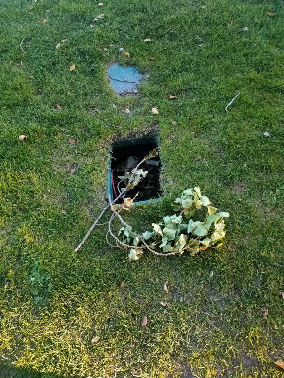 The photograph attached to this parks report