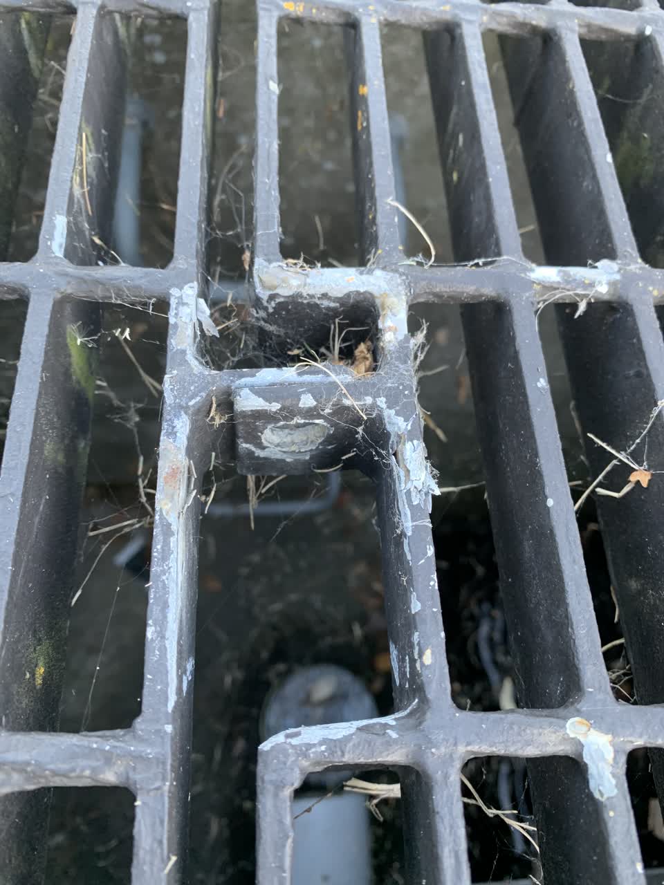 The photograph attached to this sewer - general report