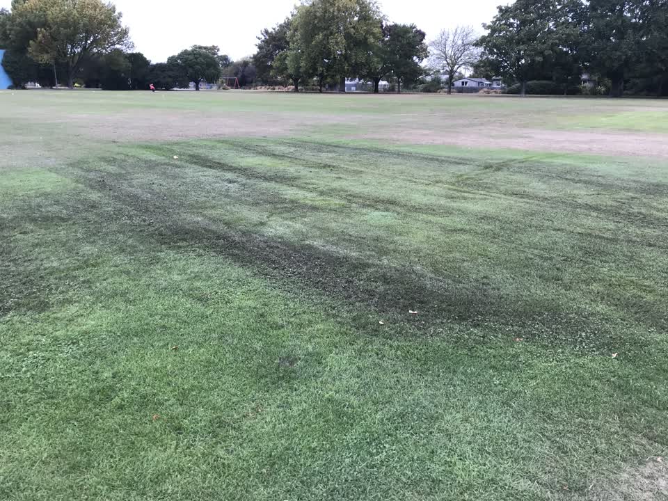 The photograph attached to this parks report