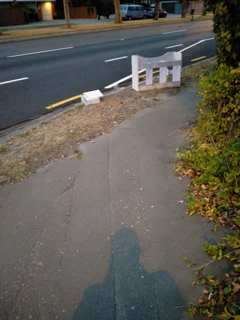 Rubbish/Recycling, a report photo