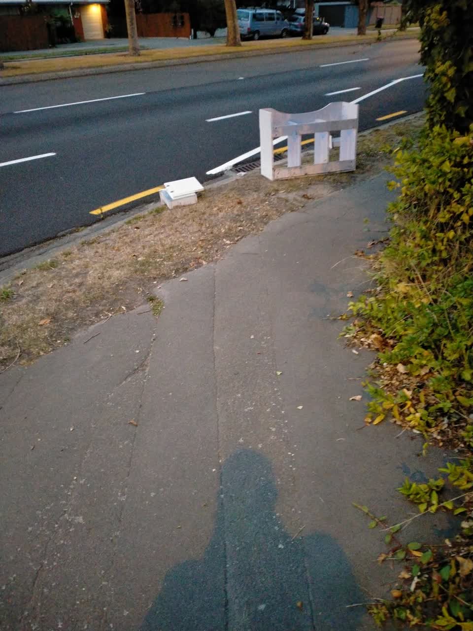 The photograph attached to this rubbish/recycling report