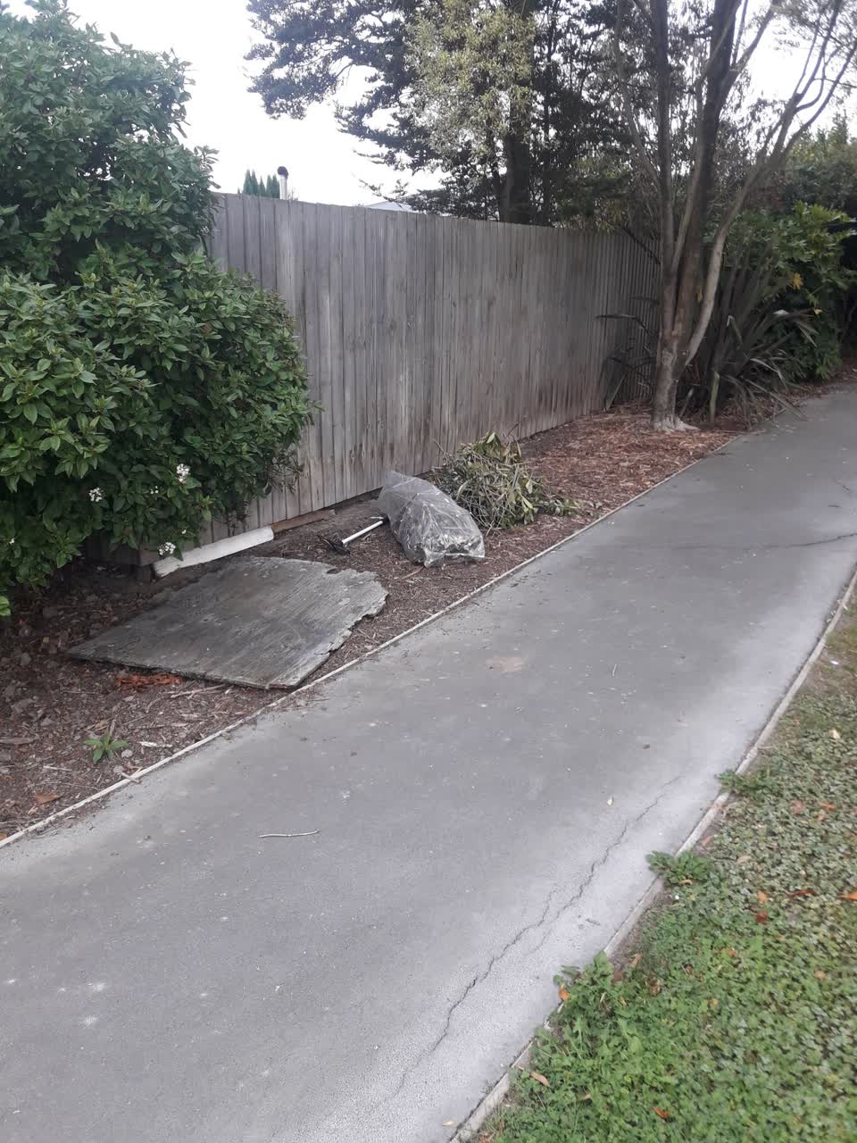 The photograph attached to this parks report