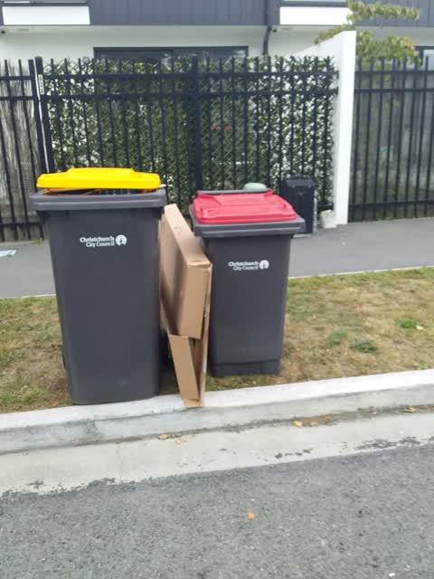 Rubbish/Recycling, a report photo