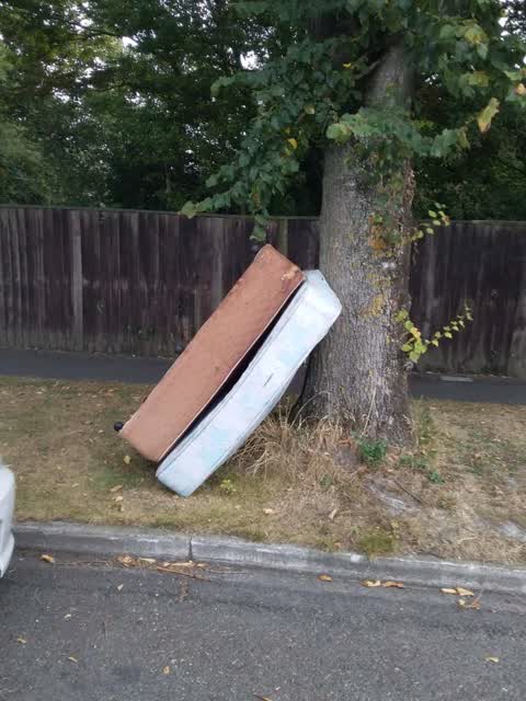 Rubbish/Recycling, a report photo