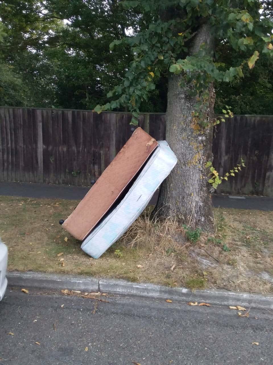 The photograph attached to this rubbish/recycling report