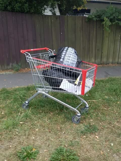 Rubbish/Recycling, a report photo