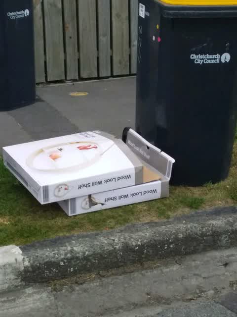 Rubbish/Recycling, a report photo