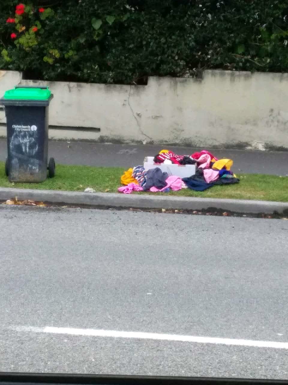 The photograph attached to this rubbish/recycling report