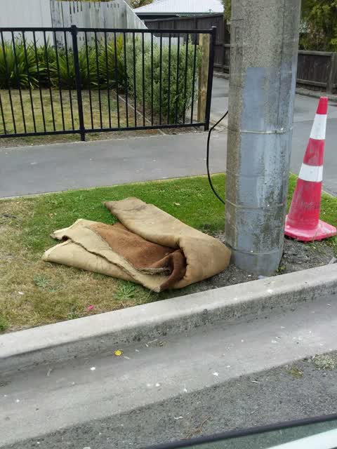 Rubbish/Recycling, a report photo
