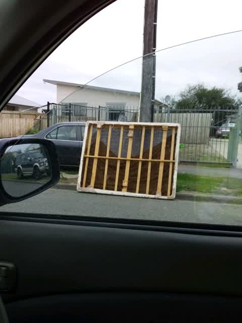 Rubbish/Recycling, a report photo