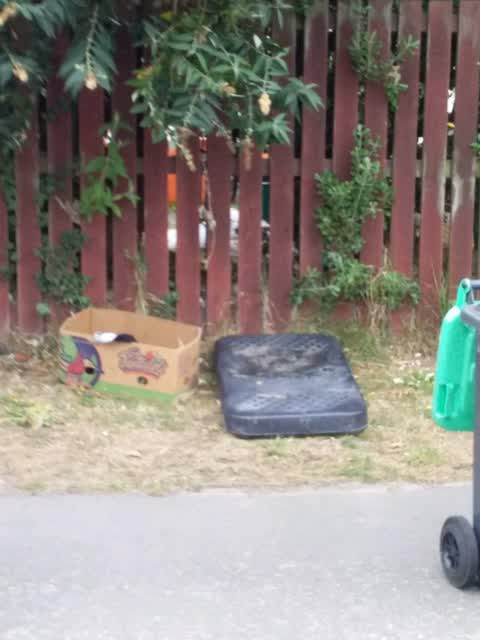 Rubbish/Recycling, a report photo