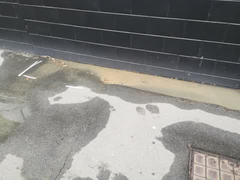 Water Leak, a report photo