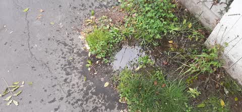 Water Leak, a report photo