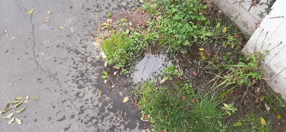 The photograph attached to this water leak report