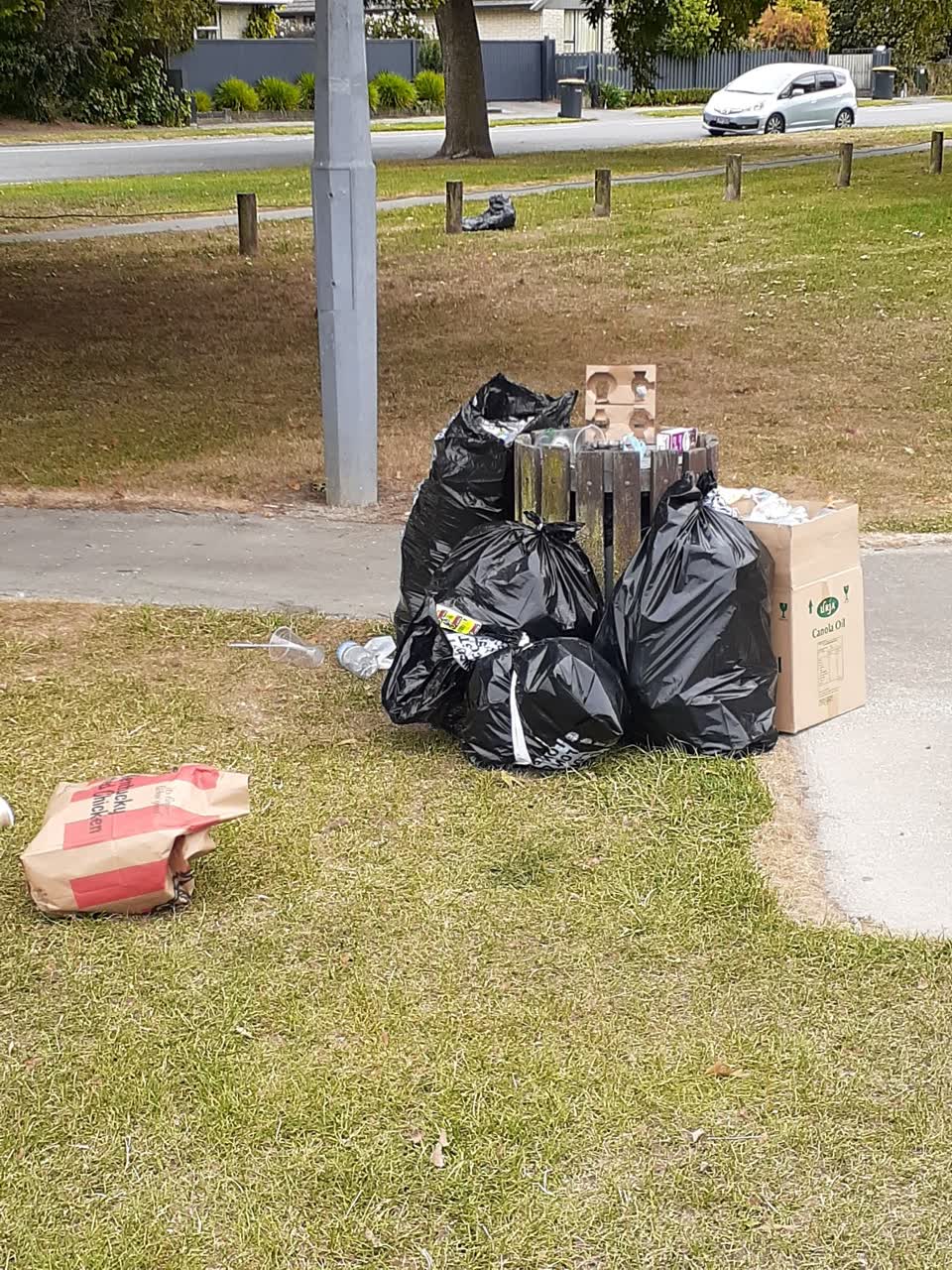 The photograph attached to this parks report