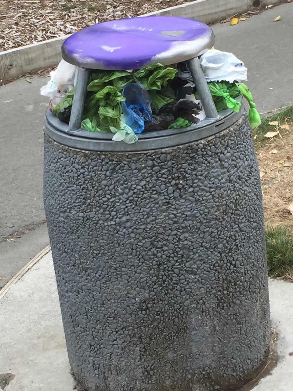The photograph attached to this parks report