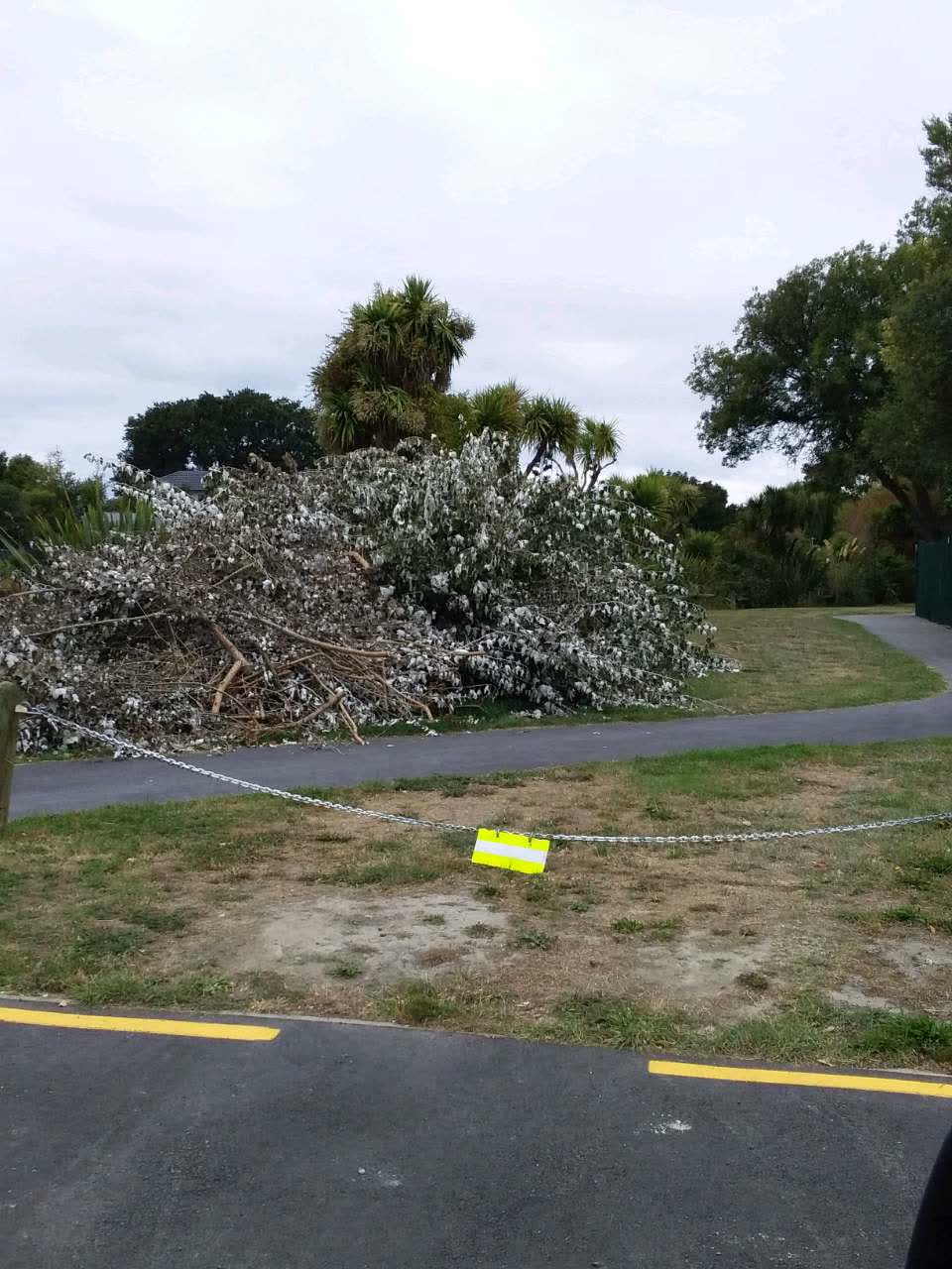 The photograph attached to this parks report