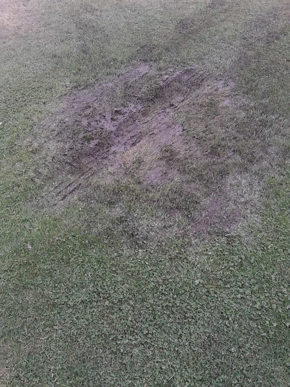 The photograph attached to this parks report
