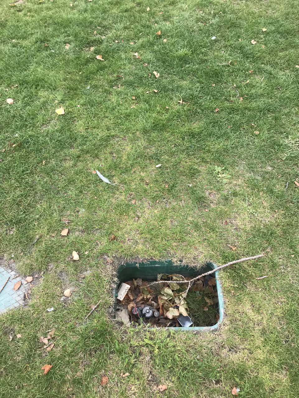 The photograph attached to this parks report