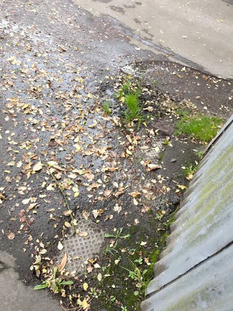 Water Leak, a report photo